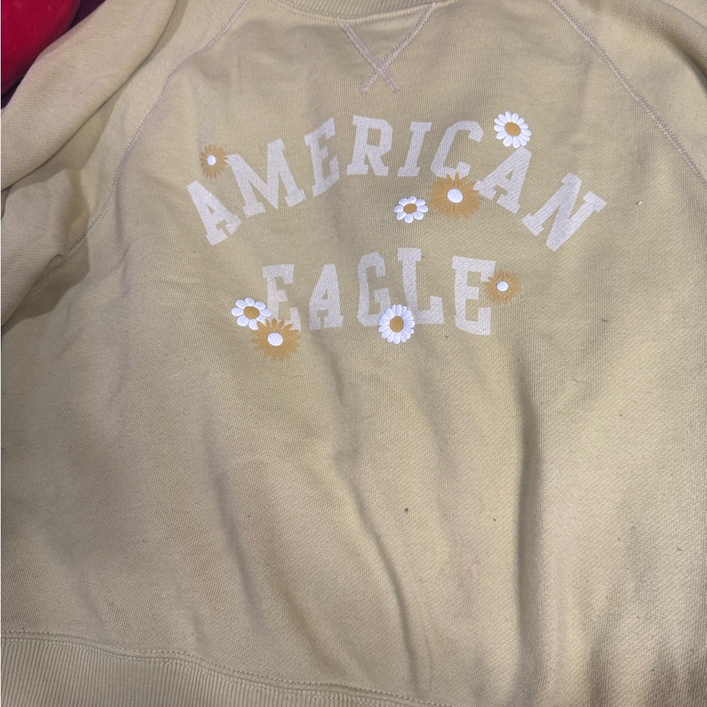 American Eagle Outfitters Cream Crew Neck Sweater